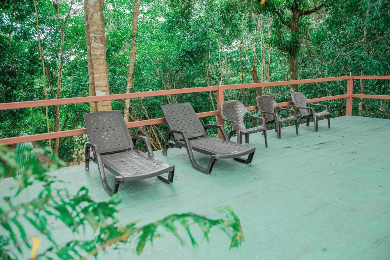 Caiman Eco Lodge Aguarico Exteriér fotografie